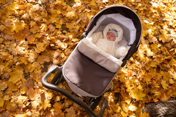 istock Little baby boy in stroller outdoors. Yellow leaves around him. 1365336596
