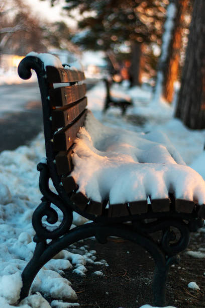 istock Woden bench lit by the evening sun against the light. Snow in the park 1365338049