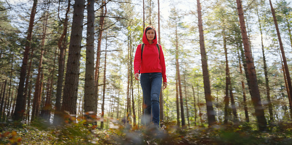 trip to central Russia, St. Petersburg, ecotrail Sestroretsky swamps. regenerative travel concept. Young woman hiking and camping in nature. with backpack walking in green forest