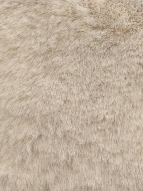 istock textured carpeting on the floor. lay carpet. Texture background 1365338448