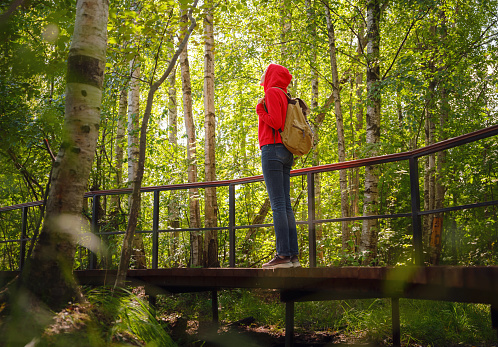 trip to central Russia, St. Petersburg, ecotrail Sestroretsky swamps. regenerative travel concept. Young woman hiking and camping in nature. with backpack walking in green forest