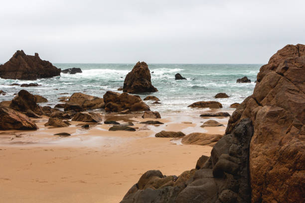 istock Sandy beach landscape with many brown stones 1365343045