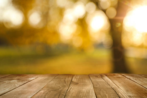 istock Empty wooden table in autumn park on sunny day 1365343313