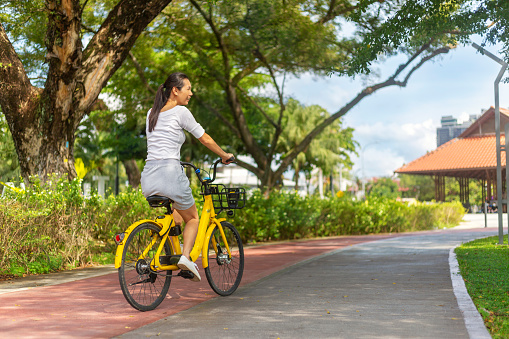 Urban biking - rear view of woman riding bike on bicycle lane in city park