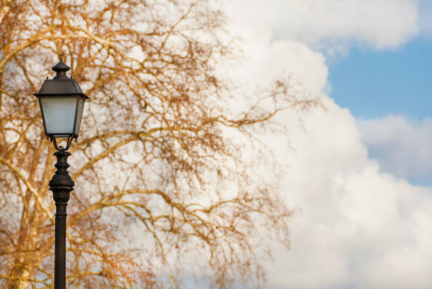 Old fashioned street lamp against winter bare tree branches as background