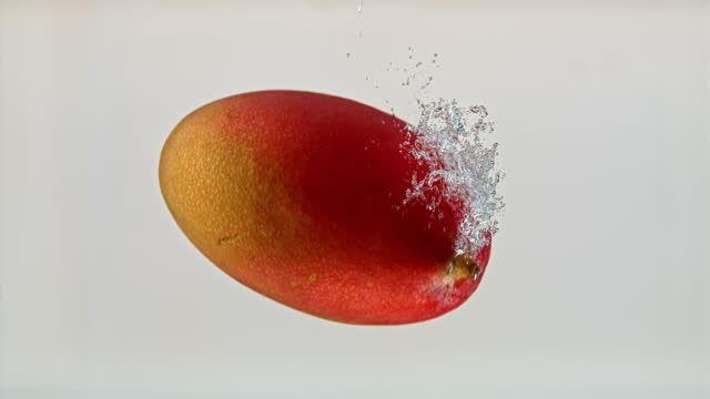 SLO MO LD A whole mango fruit falling into water against white background