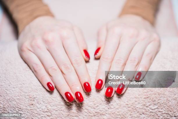 Woman Hands With Red Painted Fingernails Stock Photo - Download Image Now - Red Nail Polish, Shiny, One Woman Only