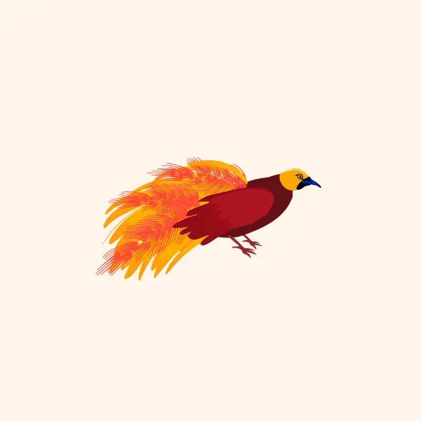 Vector illustration of Red filamentous bird of paradise. Australian bird.