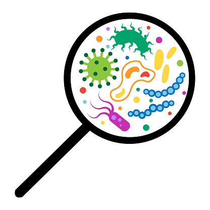 Cartoon bacteria and virus under a magnifying glass. Viruses, infection germ and disease bacteria under rejuvenating glass. Microorganisms circle vector illustration. Researching microbes and illness cells