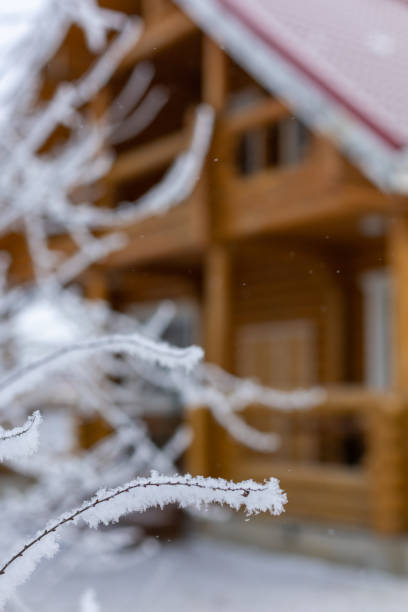 istock Soft focus on tiny thin branches covered with frost in foreground and large wooden cottage house in background. Having rest in country away from big city life. Closer to nature 1365359981
