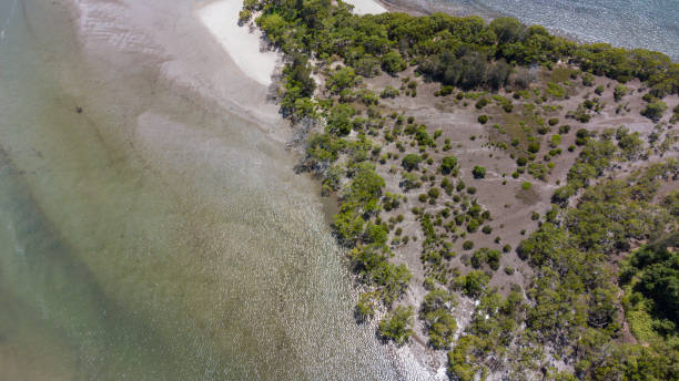 istock Island Beach Coastline Aerial 1365360038