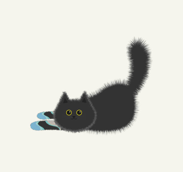 Black vector fluffy cat in colored socks Black fluffy lying cat with yellow eyes in turquoise socks on paws fat humor black expressing positivity stock illustrations