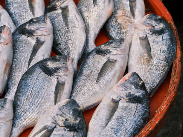 istock fresh sea fish in the market 1365366326