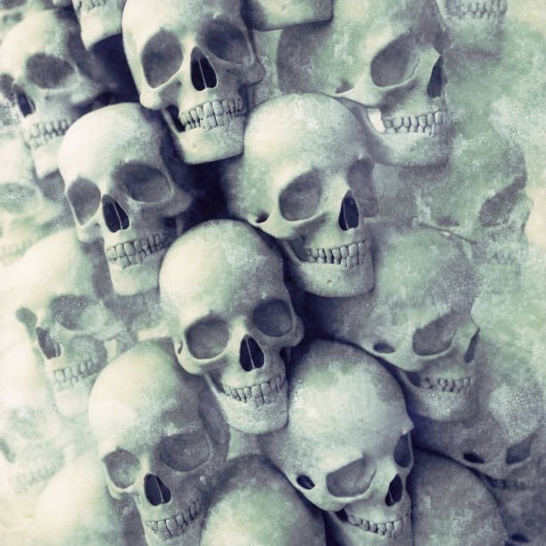Brain, skull and bones