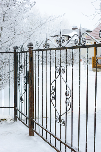 Wrought, iron patterned ornamented fence with door covered with slight layer of snow into some private territory with snow on ground and tree branches in background.