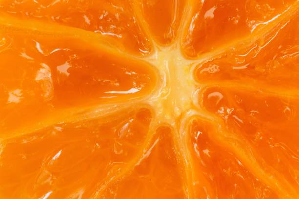 Closed up Fresh Kumquat fruits. stock photo