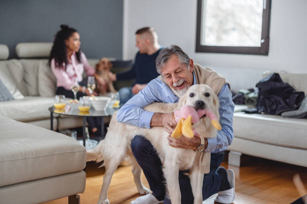 istock Grandfather playing with dog at a celebration 1365376844