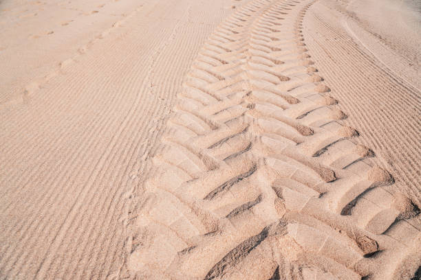 istock tire tracks on a tropical sandy beach. 1365378078