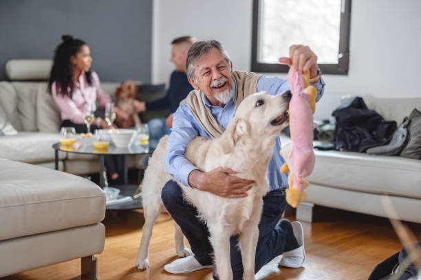 istock Grandfather playing with dog at a celebration 1365378318
