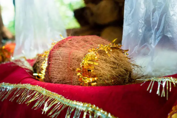 Photo of Coconuts in temple. Coconut represents Hindu trinity of Brahma , Vishnu and Mahesh . Hence, the significance. Devotees pay tribute to the three Gods by treating the coconut as an object of worship.