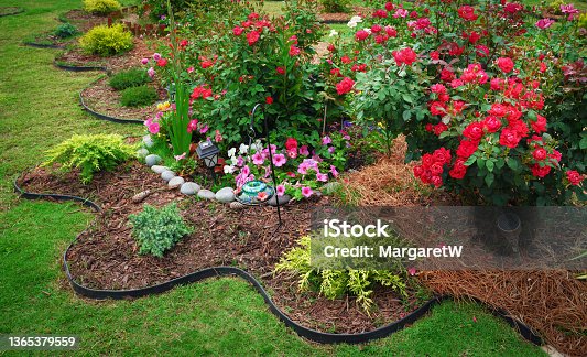 istock Beautiful landscaped flower garden with blooming roses. 1365379559