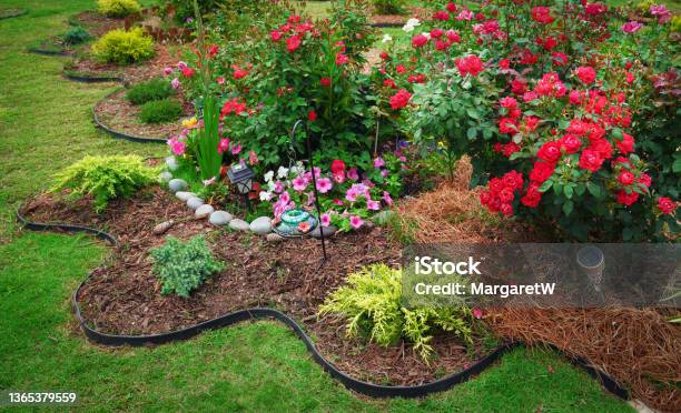 Beautiful Landscaped Flower Garden With Blooming Roses Stock Photo - Download Image Now