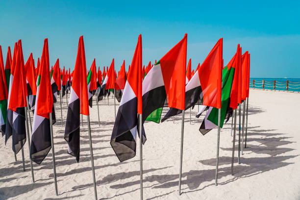 두바이의 연 해변에서 바람을 맞고 손을 흔들고 있는 아랍에미리트의 깃발. - bicycle racing bicycle isolated red 뉴스 사진 이미지