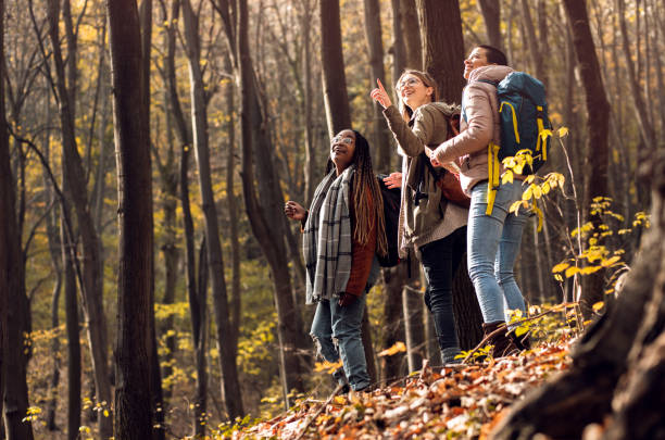 istock Three female friends having fun and enjoying hiking in forest. 1365384940