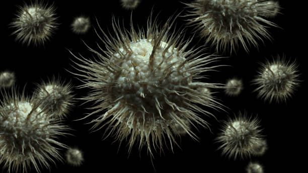 istock Virus cells close up conceptual 3d image 1365384952
