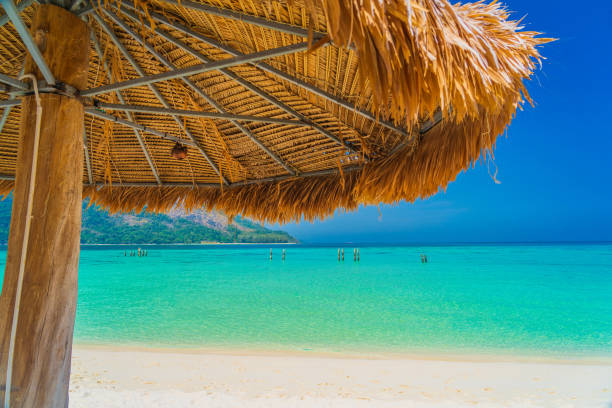 istock White beach and Blue sea in Summer 1365386205