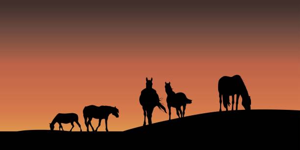 istock Herd of horses grazing on meadow in sunset vector illustration 1365387395
