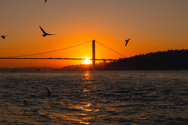 istock Istanbul background photo 1365390573