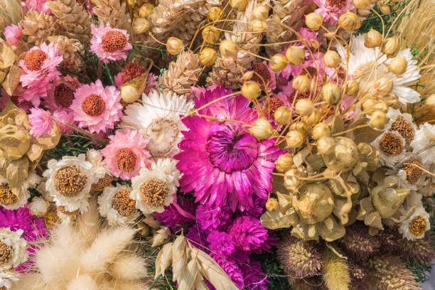 istock Various dried and preserved flowers arranged in a bouquet, background texture 1365394646