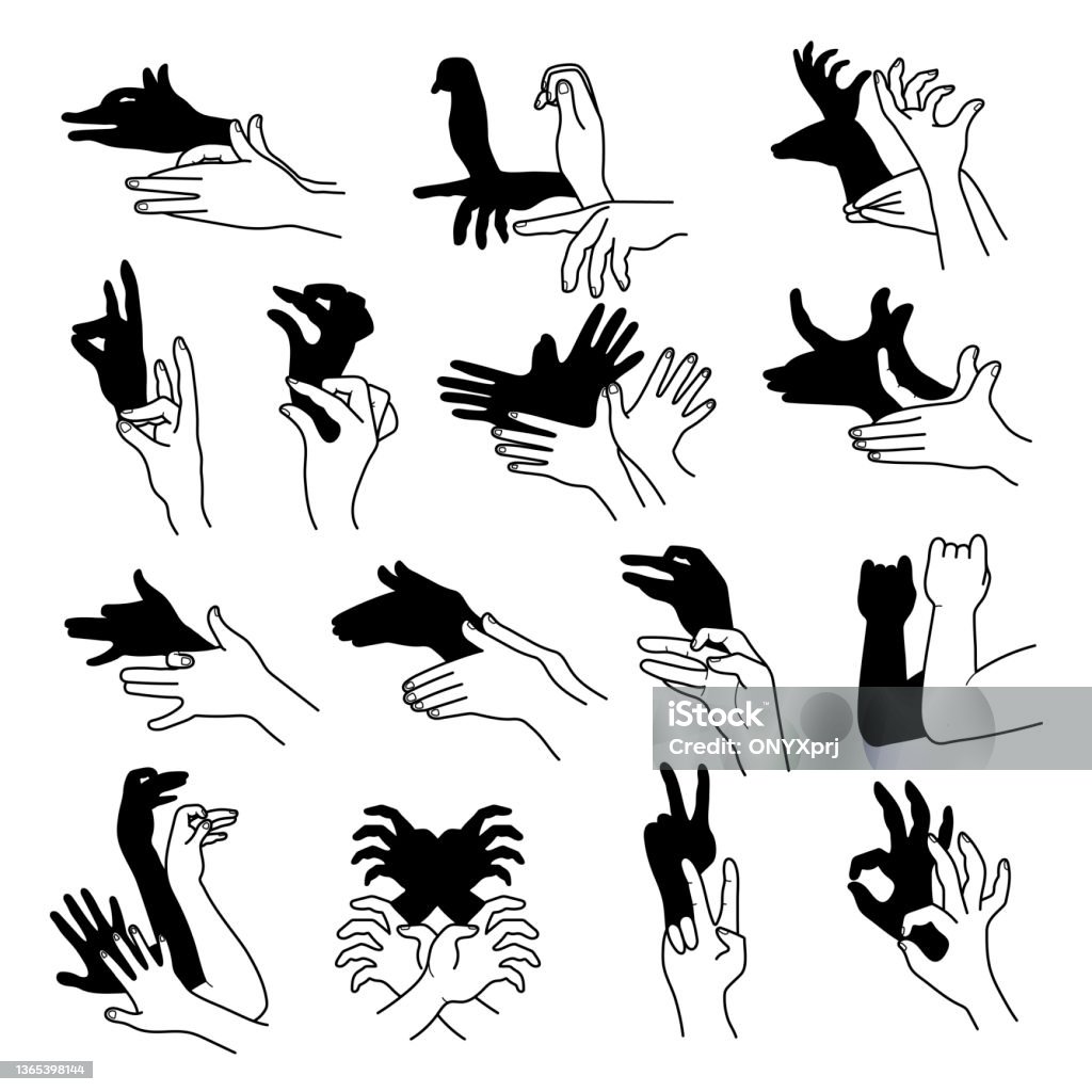 Hands Shadow Theatrical Gestures Hands Puppets Creative Poses From Human  Fingers Different Animals Birds Rabbit Bear Recent Vector Illustrations  Stock Illustration - Download Image Now - iStock