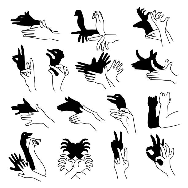 Hands shadow. Theatrical gestures hands puppets creative poses from human fingers different animals birds rabbit bear recent vector illustrations vector art illustration