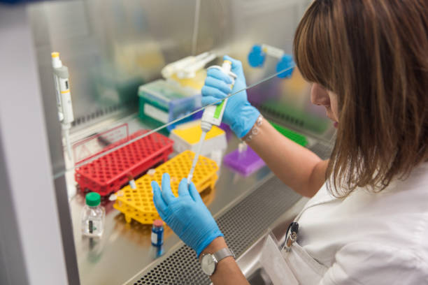 Genetic Analysis Female scientist working at a laboratory genetic screening stock pictures, royalty-free photos & images