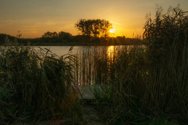 istock Sunset over a calm lake with a pier and reeds 1365400957