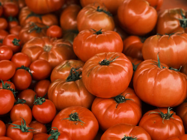istock fresh red tomatoes in the supermarket 1365404230