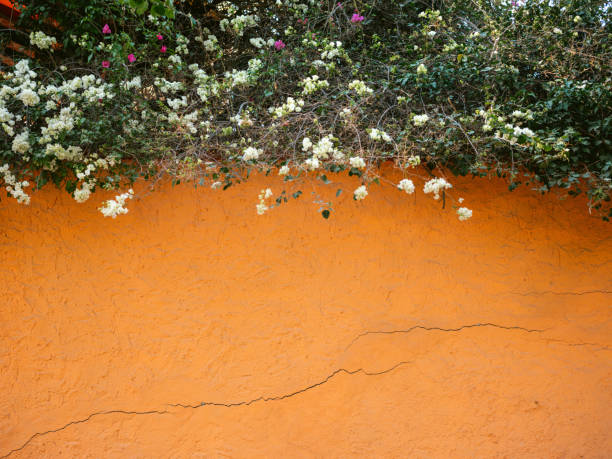 Oranje muur met bloemen in San Miguel de Allende, Mexico stock photo