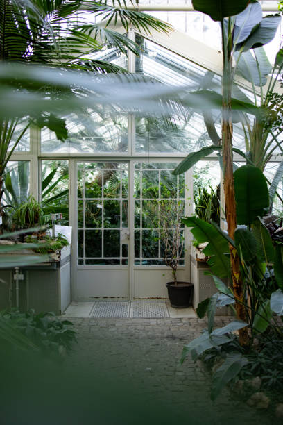 istock Lush botanical garden in the city 1365404892