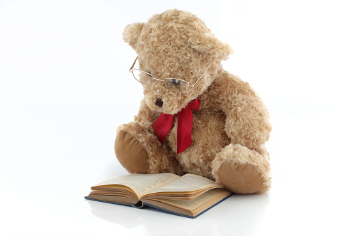 A teddy bear with glasses reading a book