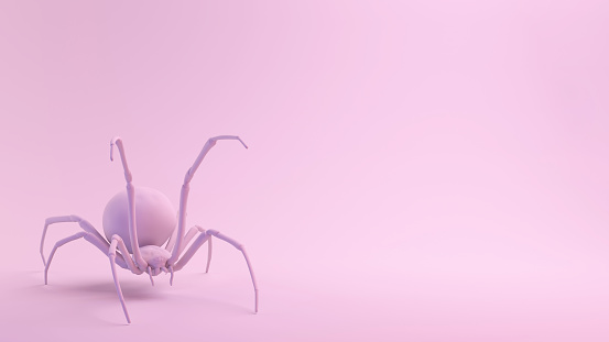 Pink Series Blackwidow Spider attack pose