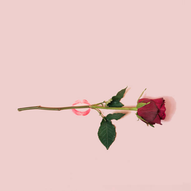 Creative Valentine composition with lipstick kiss and red rose. Minimal flat lay with copy space. Romantic concept on pastel background.