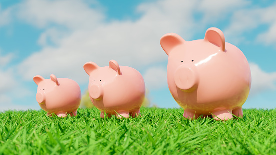 Concept of sustainable investment. Three piggy banks stand outside in the sun with its feet in the grass.