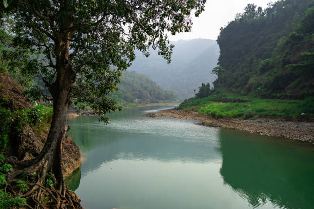 istock Beautiful view of a quiet river surrounded by fresh green grass and trees 1365407685