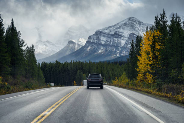 road trip on highway with rocky mountains in autumn forest at banff national park - car driver bildbanksfoton och bilder