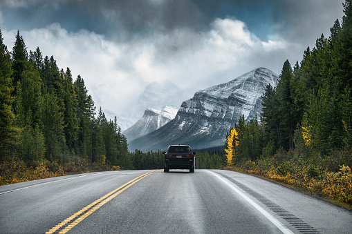 Parte trasera del coche conduciendo en la carretera en el bosque con la montaña en la penumbra photo