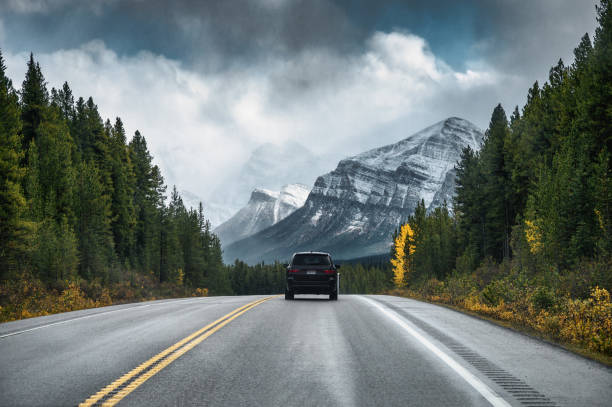 Rear of car driving on highway in the forest with mountain on gloomy Rear of car driving on highway in the forest with mountain on gloomy at Banff national park bc photos stock pictures, royalty-free photos & images