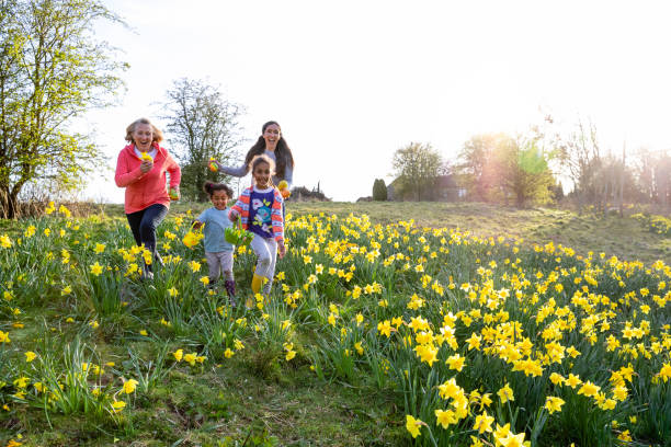ostern aufregung! - daffodil flower spring easter egg stock-fotos und bilder