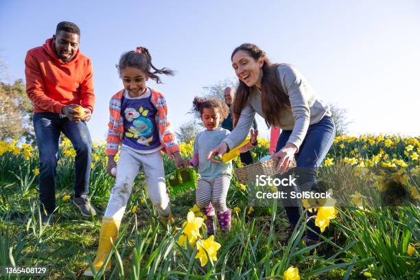 I Seen It First Stock Photo - Download Image Now - Easter Egg Hunt, Family, Easter
